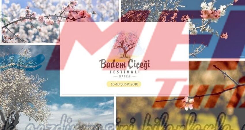 DATÇA BADEM ÇİÇEĞİ FESTİVALİ