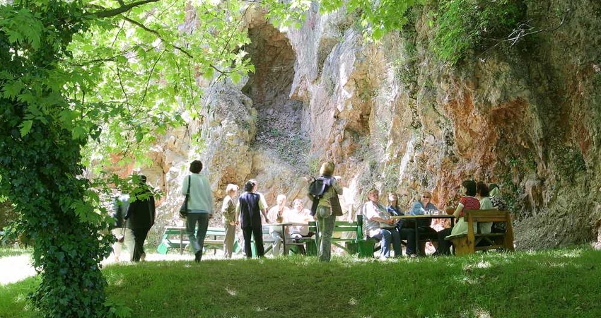 ŞİLE - AĞVA - ORMANYA - MAŞUKİYE - SAPANCA TURU