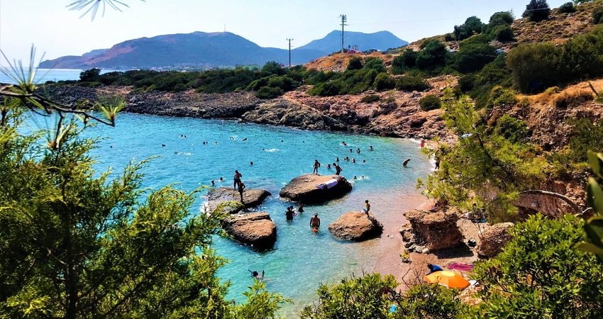 DATÇA BADEM ÇİÇEĞİ FESTİVALİ