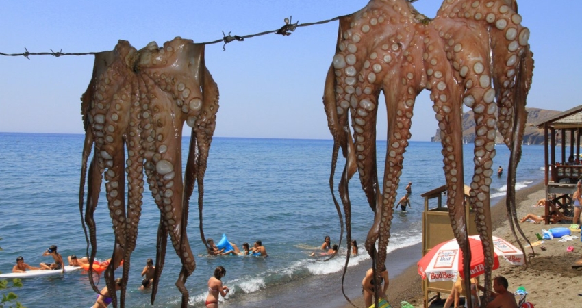 MİDİLLİ FESTİVALİ TURU 2 GÜN 1 GECE