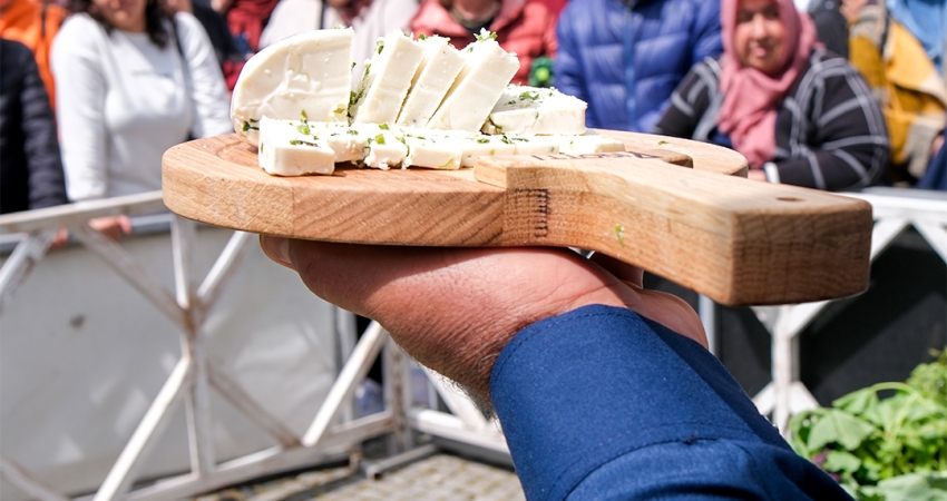 GÜNÜBİRLİK BODRUM ACI OT FESTİVALİ