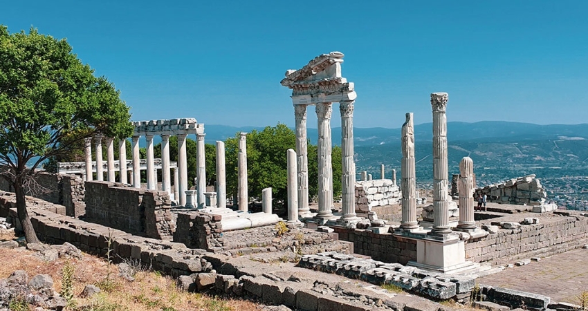 GÜNÜBİRLİK BERGAMA PAPATYA FESTİVALİ