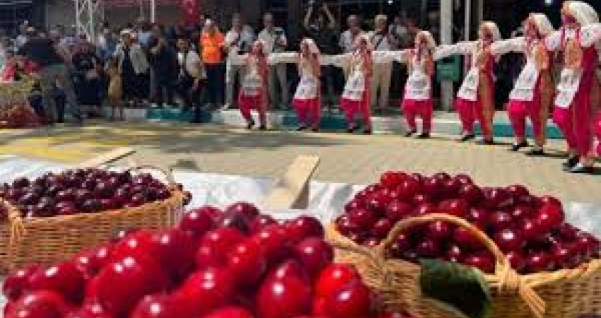 TEKİRDAĞ KİRAZ FESTİVALI